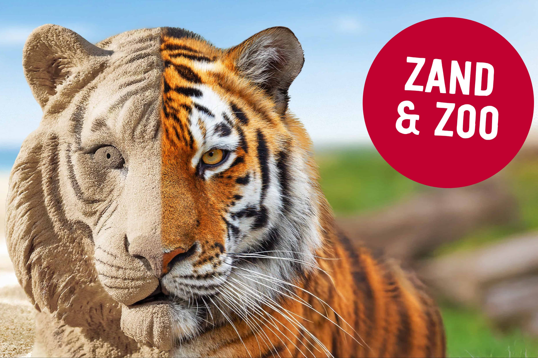 Generieke afbeelding voor image content